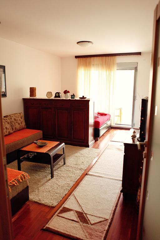 Studio Apartment Nika Andusa Petrovac 客房 照片