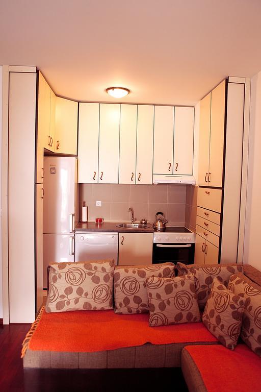 Studio Apartment Nika Andusa Petrovac 客房 照片