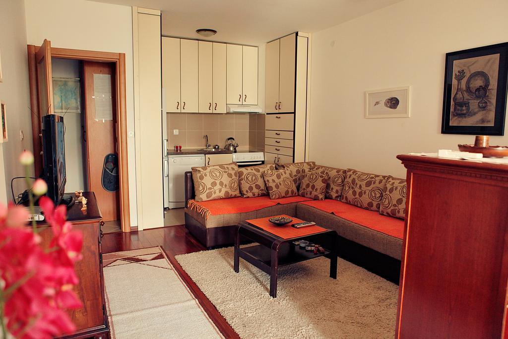 Studio Apartment Nika Andusa Petrovac 客房 照片